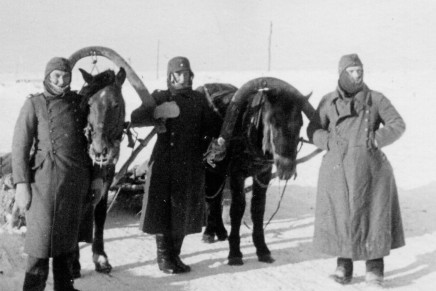 Mystery Photo Album… Part 3 – Wehrmacht Years (continued)