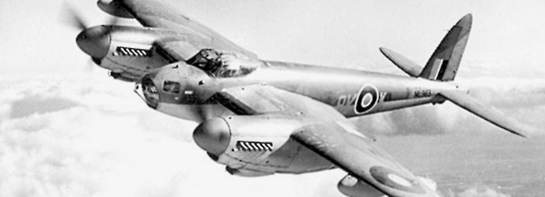 Mosquito