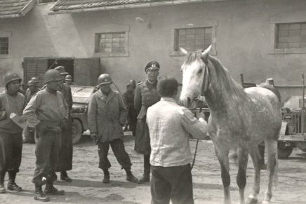 73 Ghost Riders: Operation Cowboy