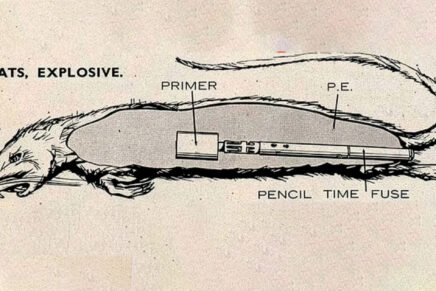 300 – Exploding Rats and the Devices of SOE